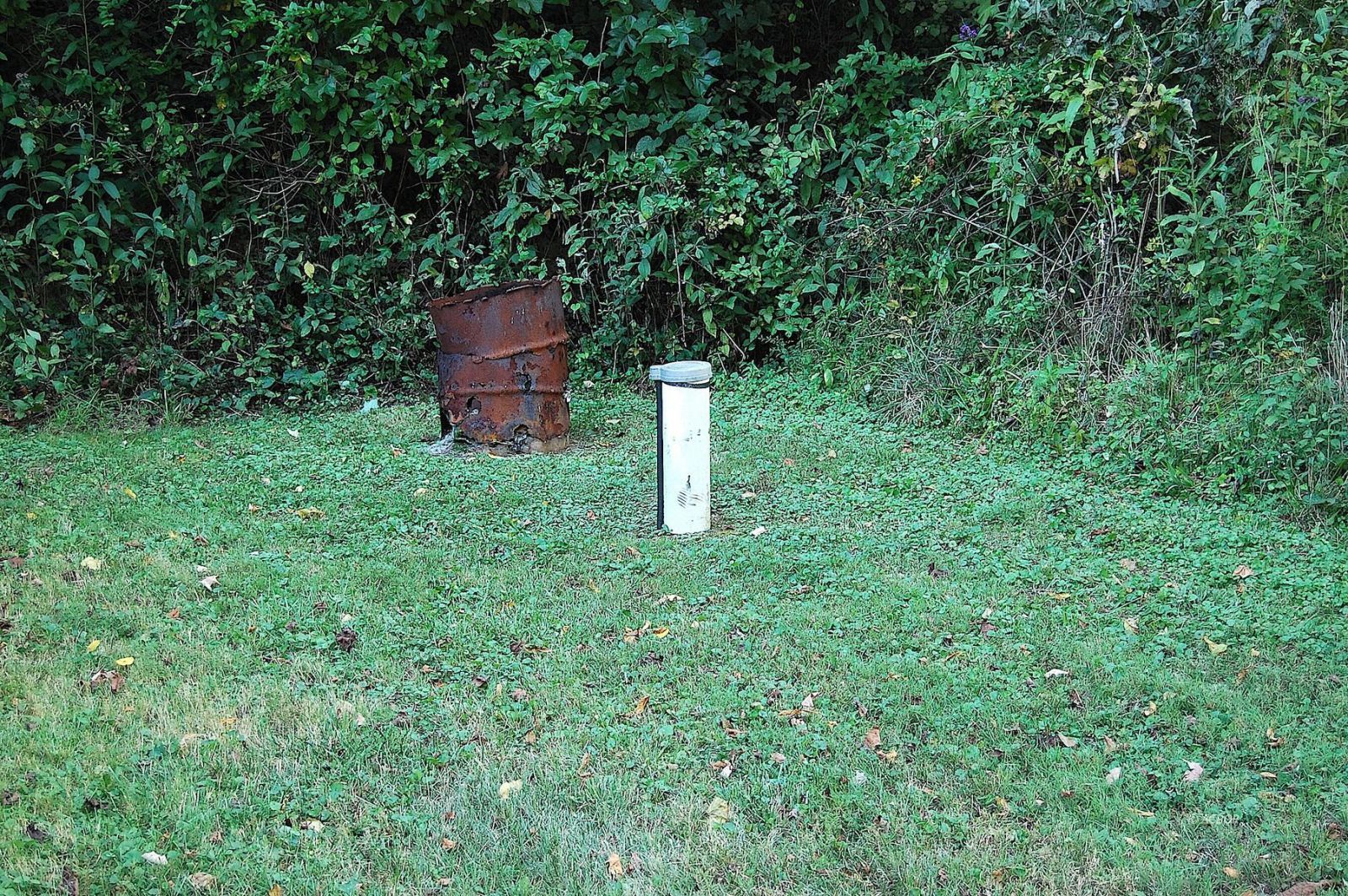 9662 State Route 217 Property Photo 8