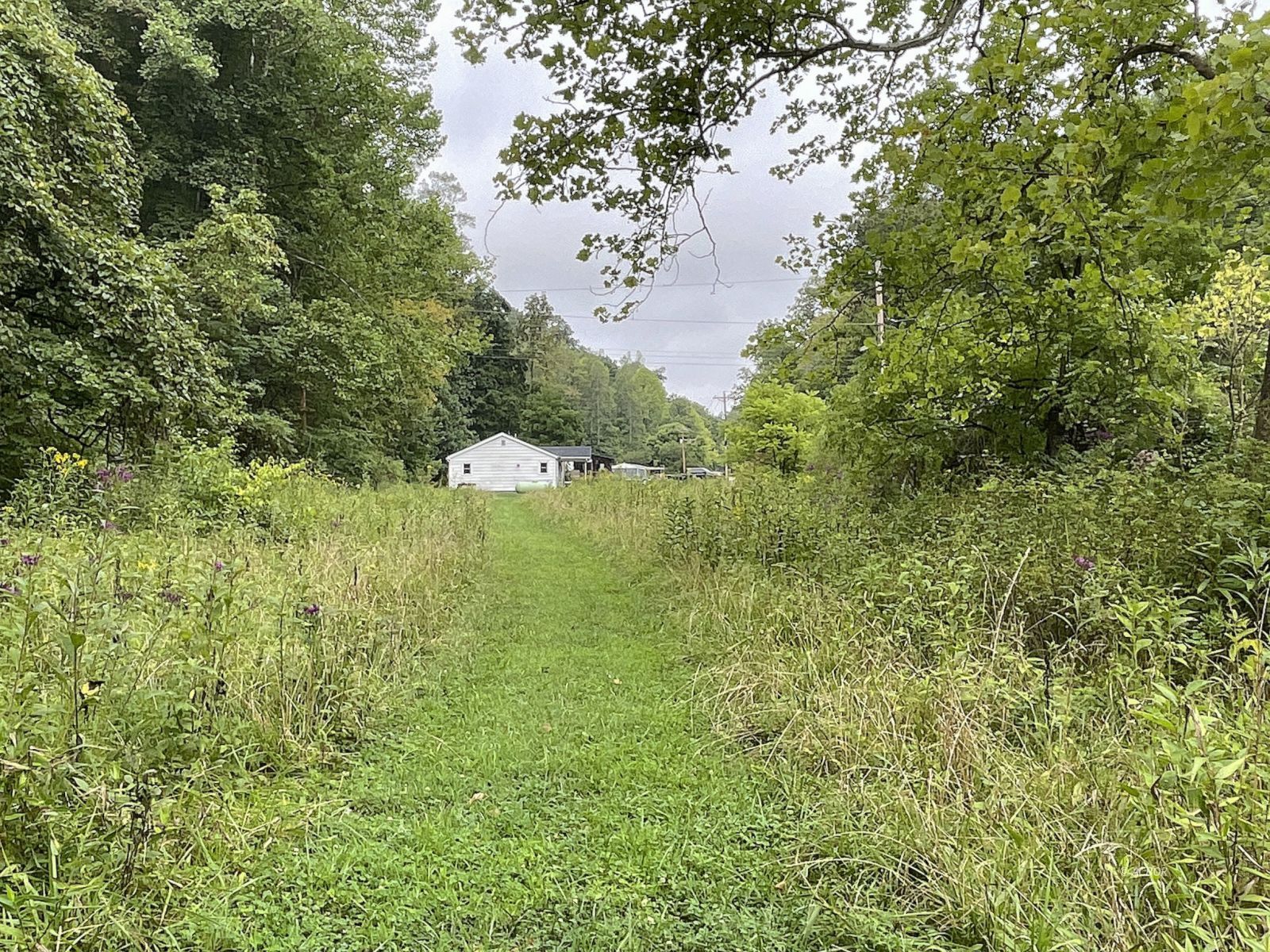 9662 State Route 217 Property Photo 10