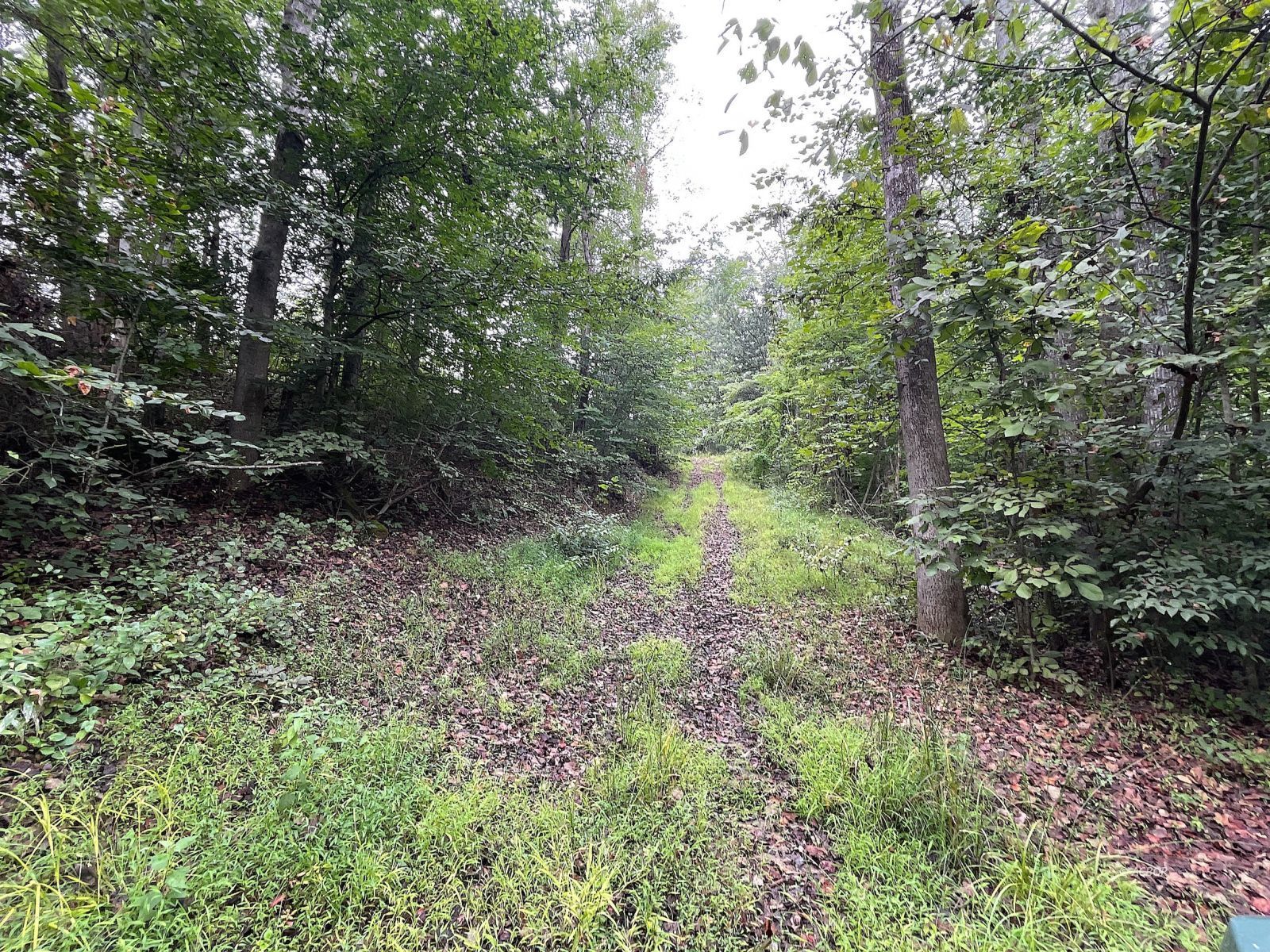 9662 State Route 217 Property Photo 11