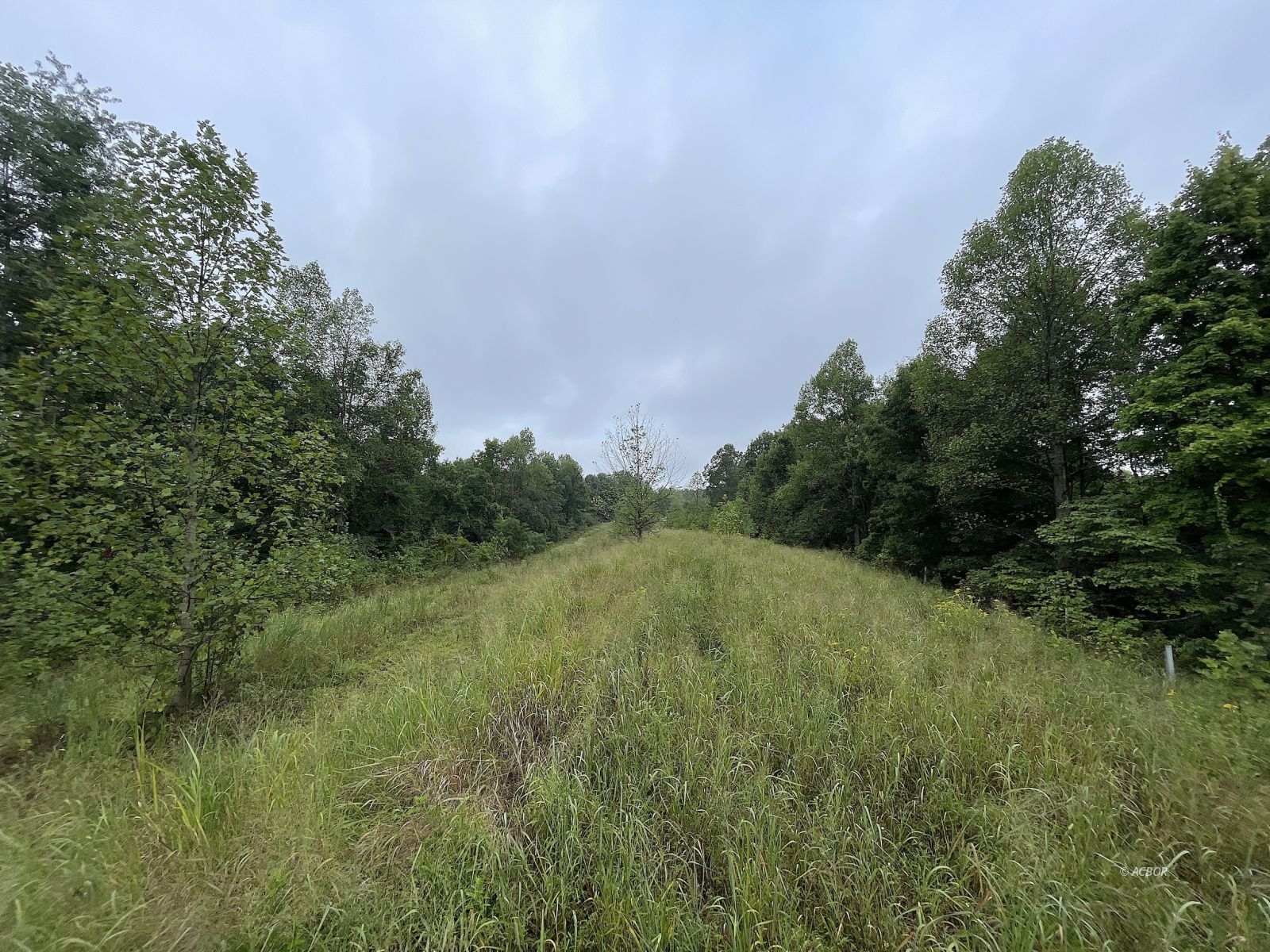 9662 State Route 217 Property Photo 12