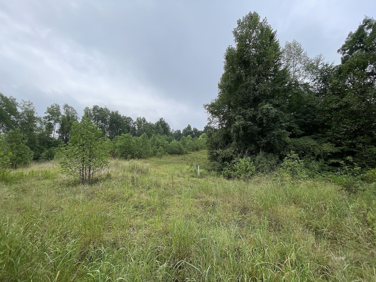 9662 State Route 217 Property Photo 13