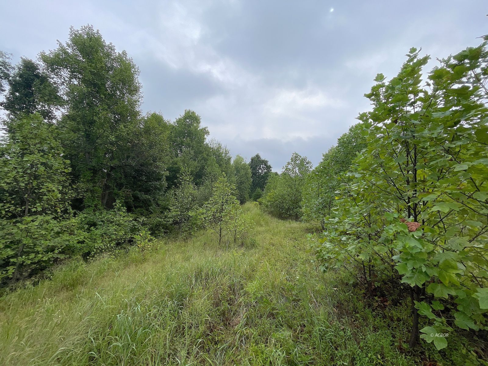 9662 State Route 217 Property Photo 14