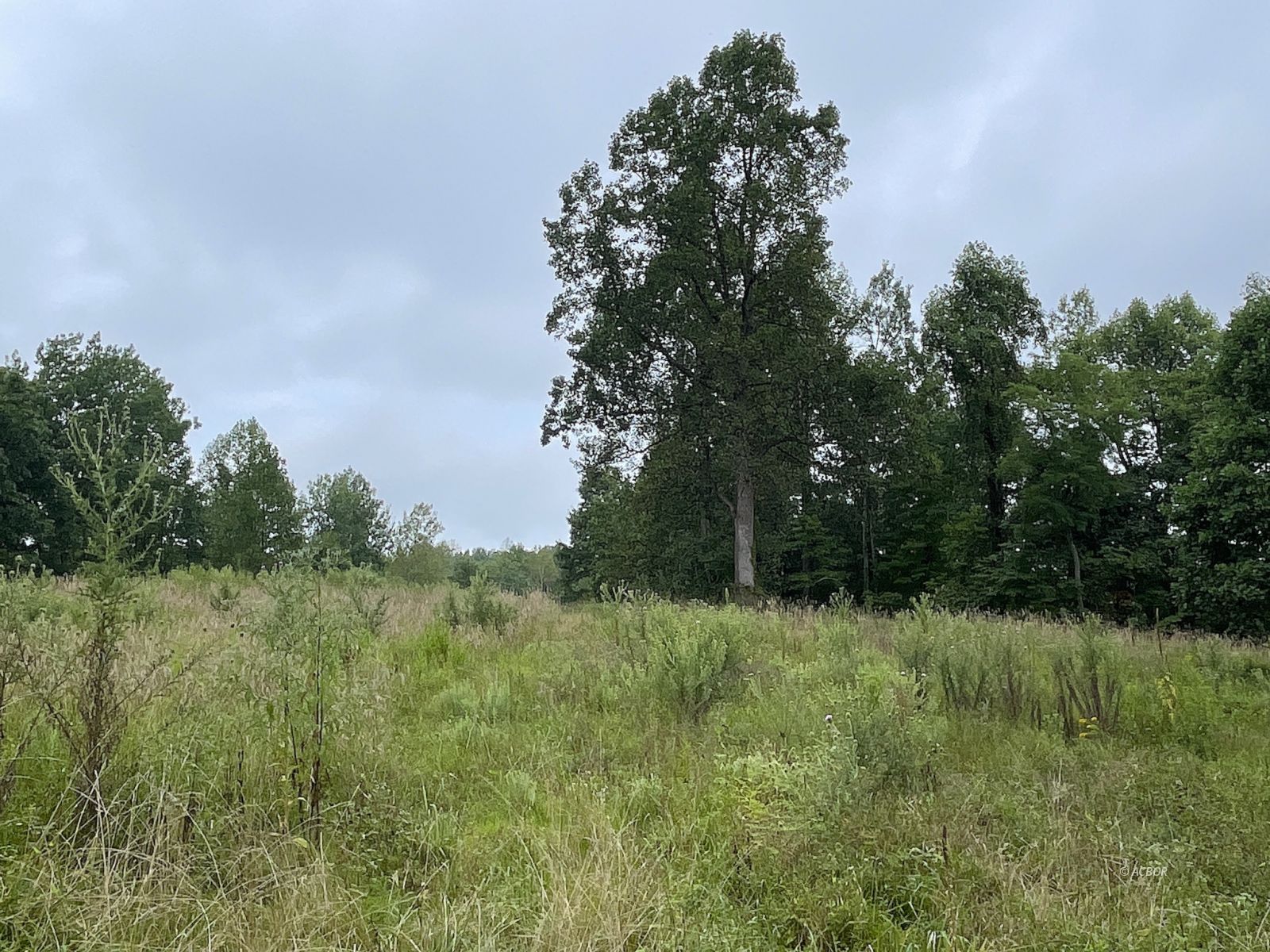 9662 State Route 217 Property Photo 15