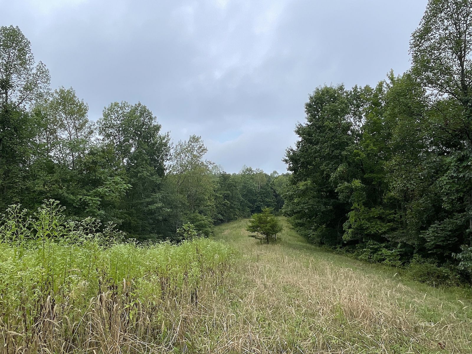 9662 State Route 217 Property Photo 16