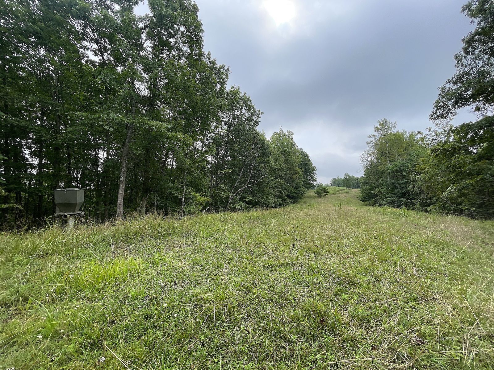 9662 State Route 217 Property Photo 17