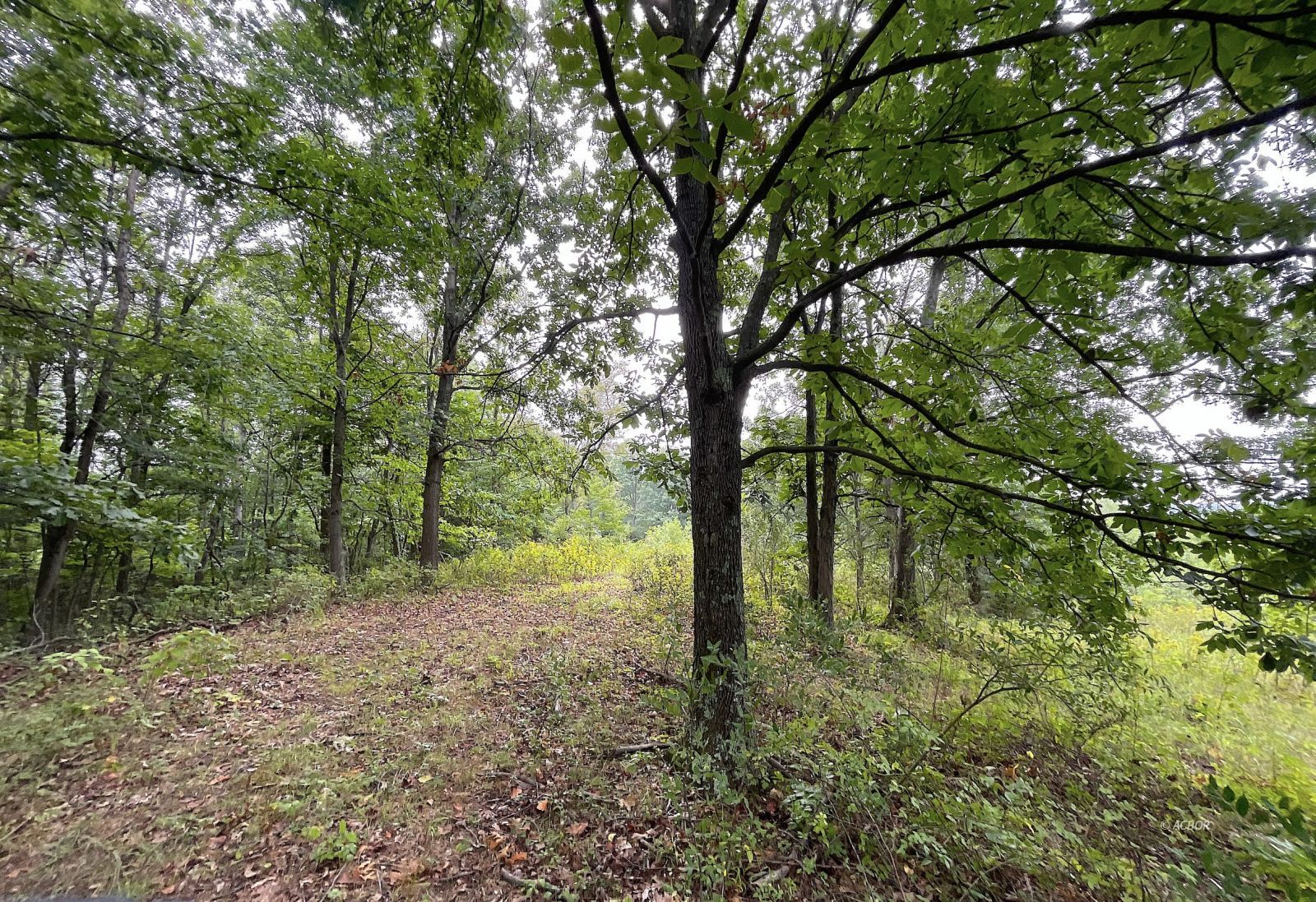 9662 State Route 217 Property Photo 19