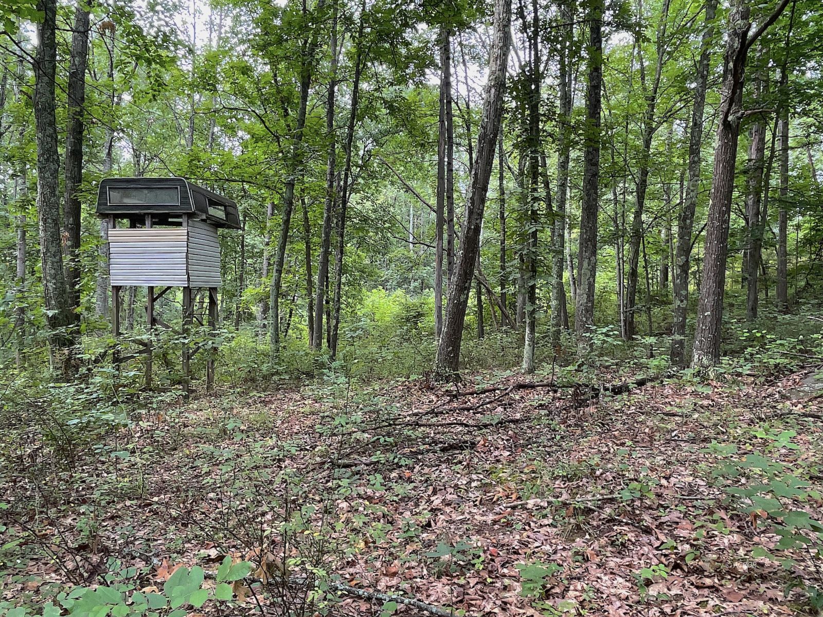 9662 State Route 217 Property Photo 20