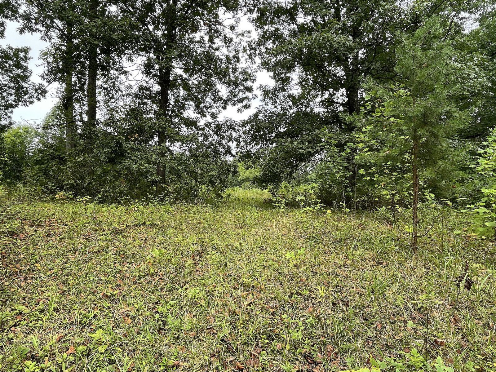 9662 State Route 217 Property Photo 21