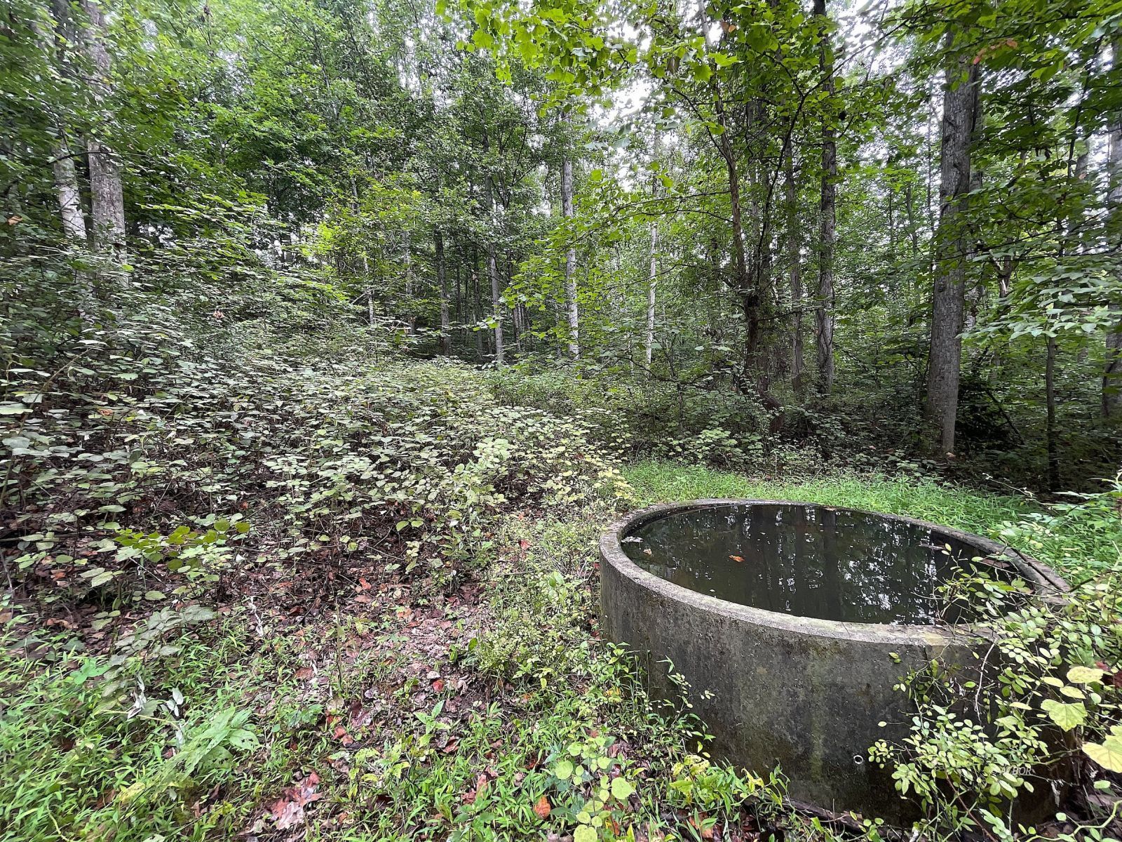 9662 State Route 217 Property Photo 23