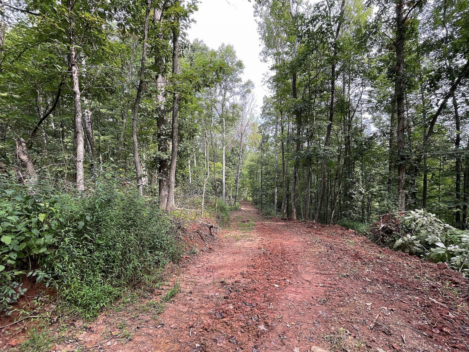 9662 State Route 217 Property Photo 24