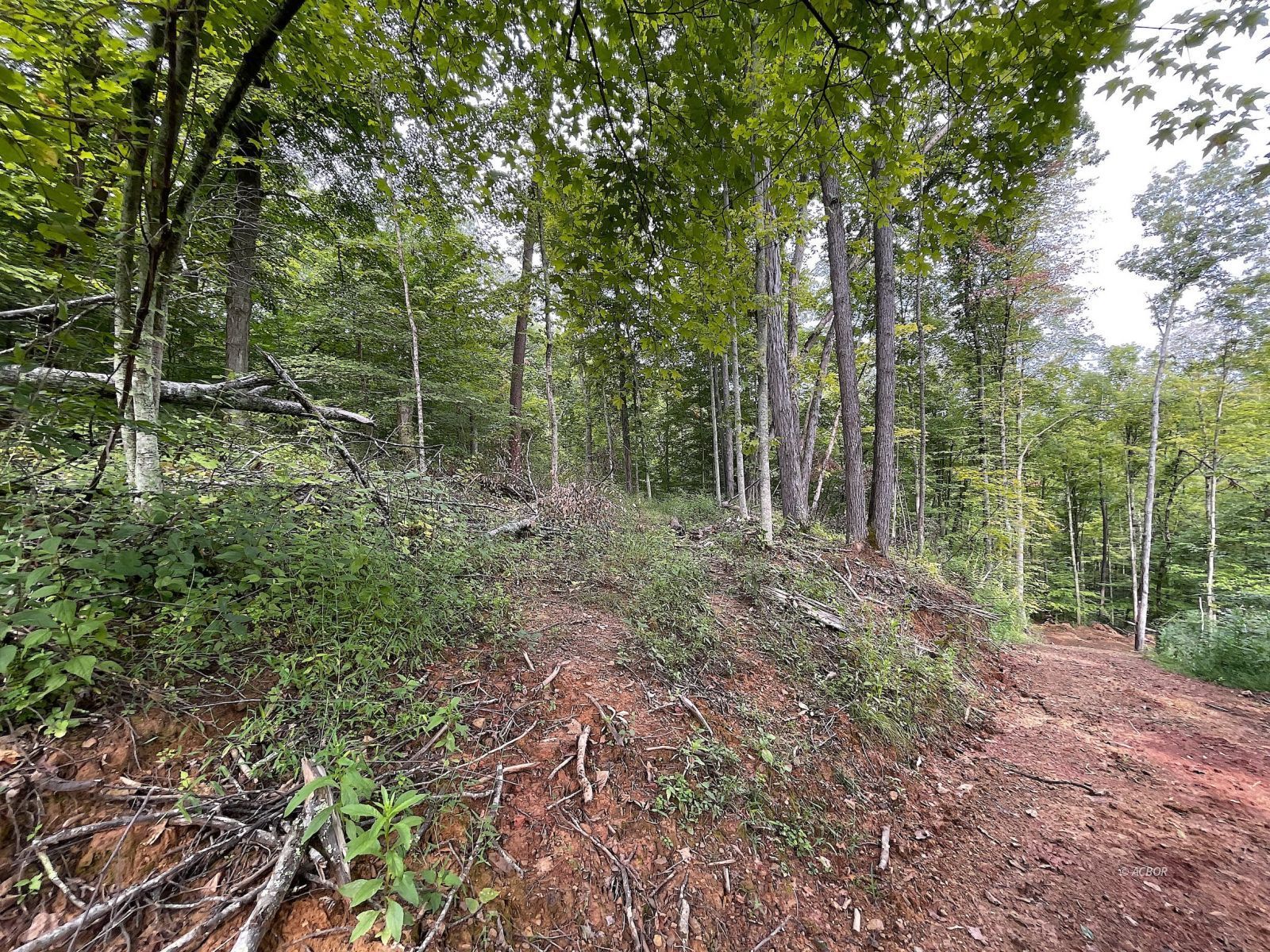 9662 State Route 217 Property Photo 25