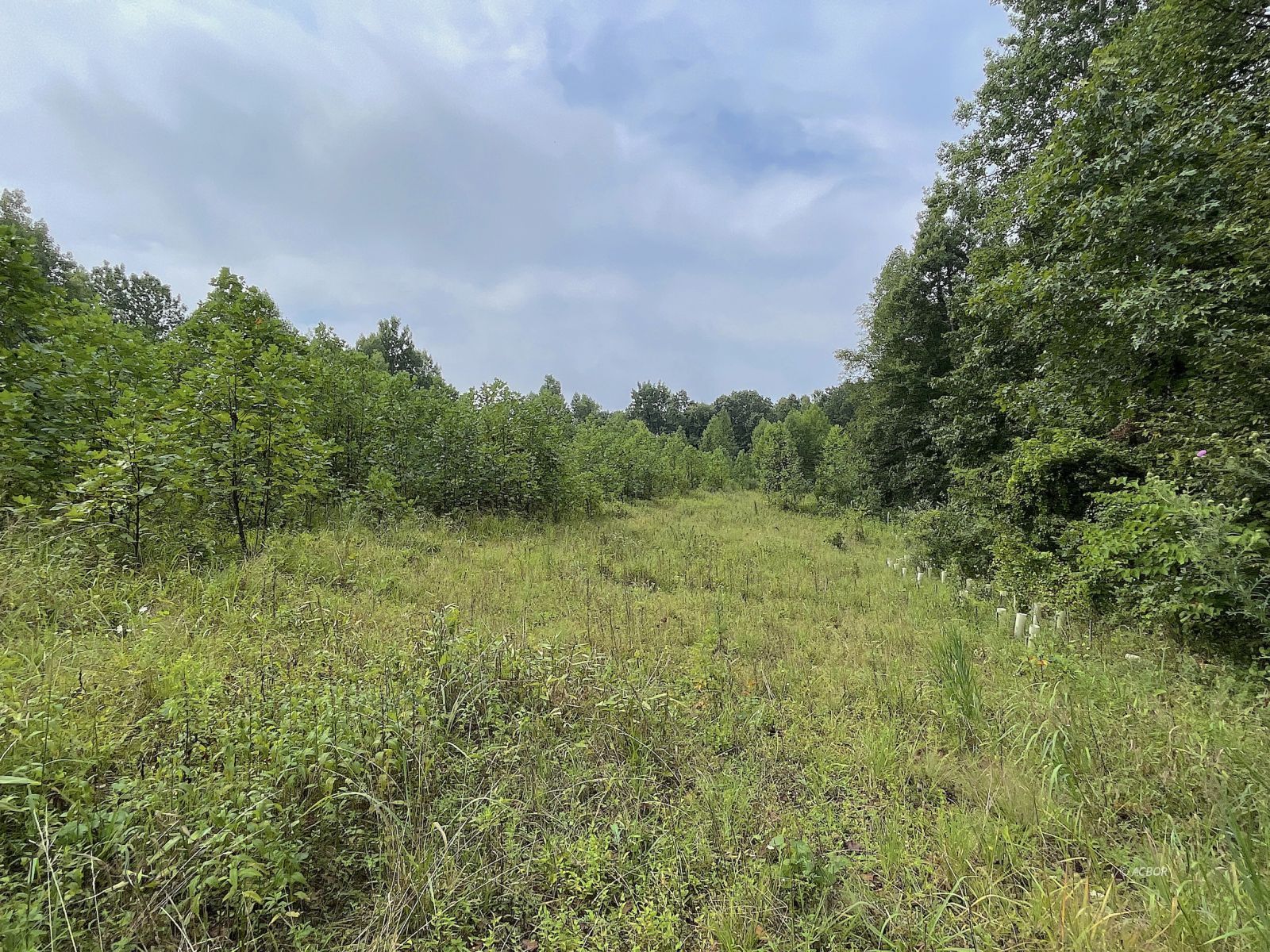9662 State Route 217 Property Photo 26