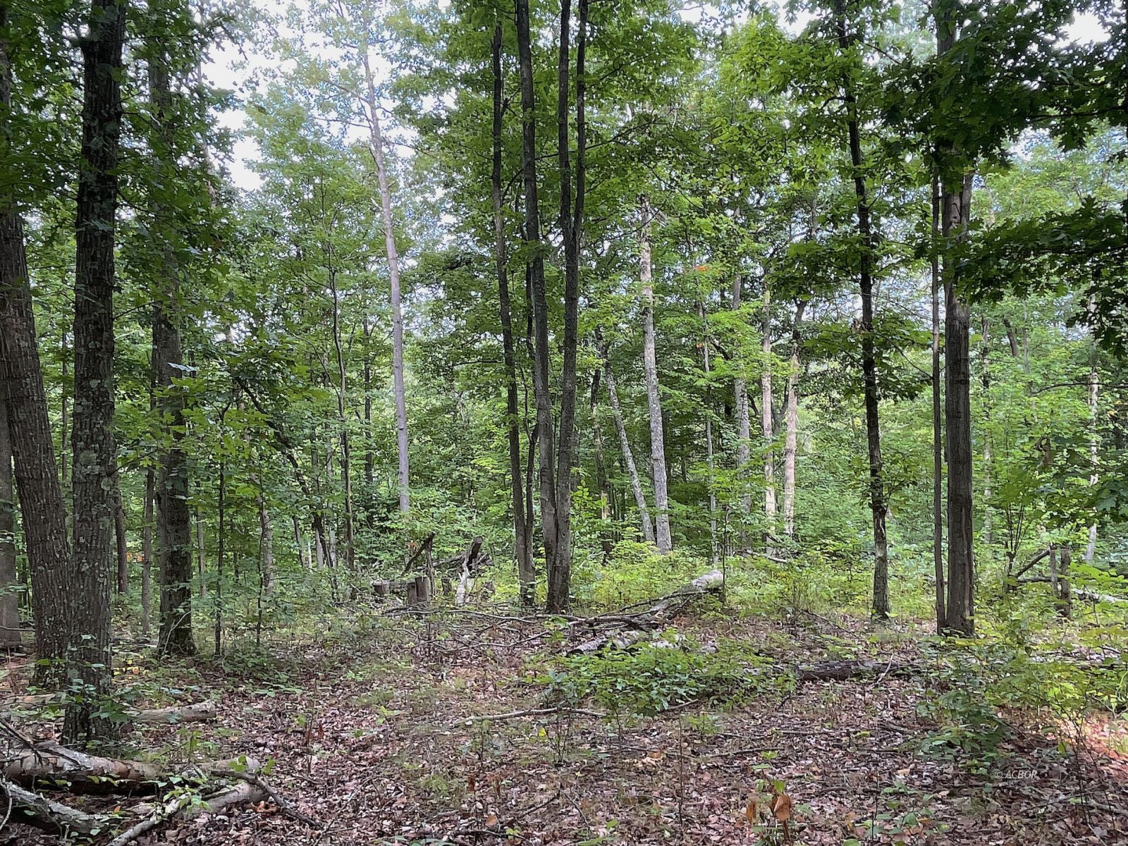 9662 State Route 217 Property Photo 27