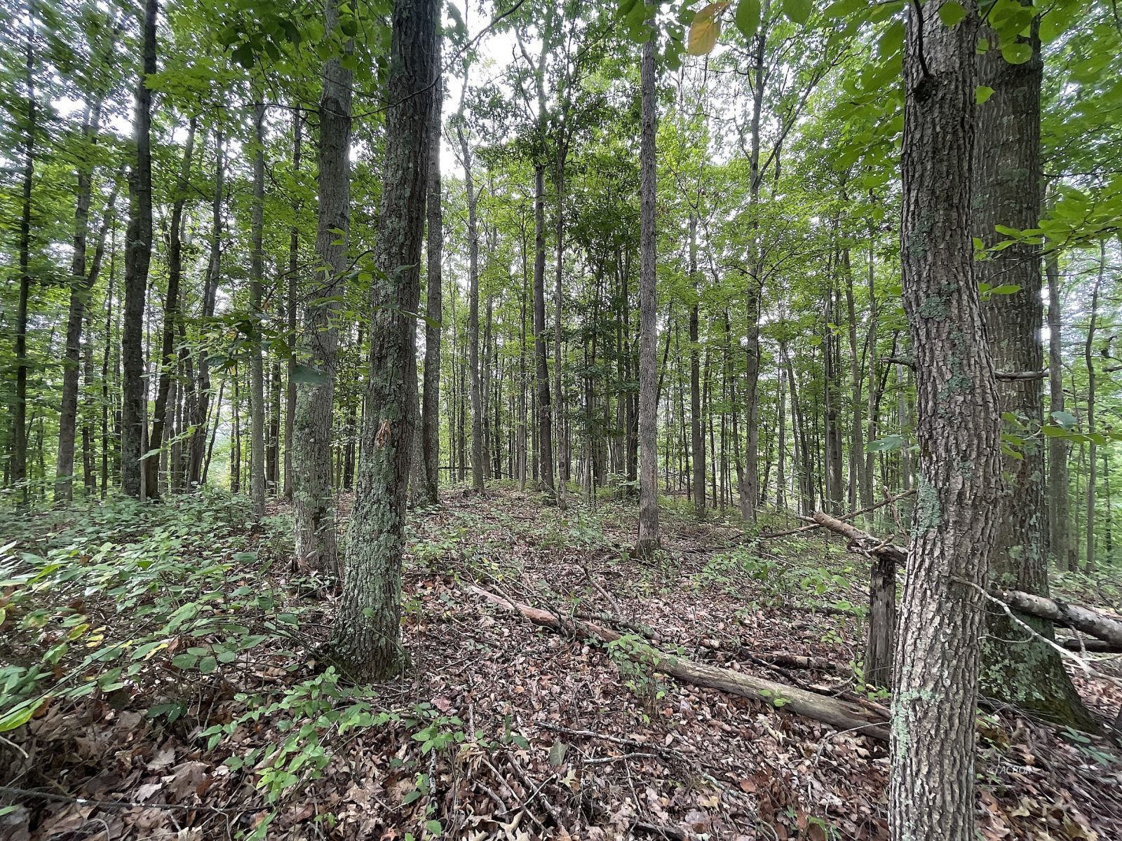 9662 State Route 217 Property Photo 28