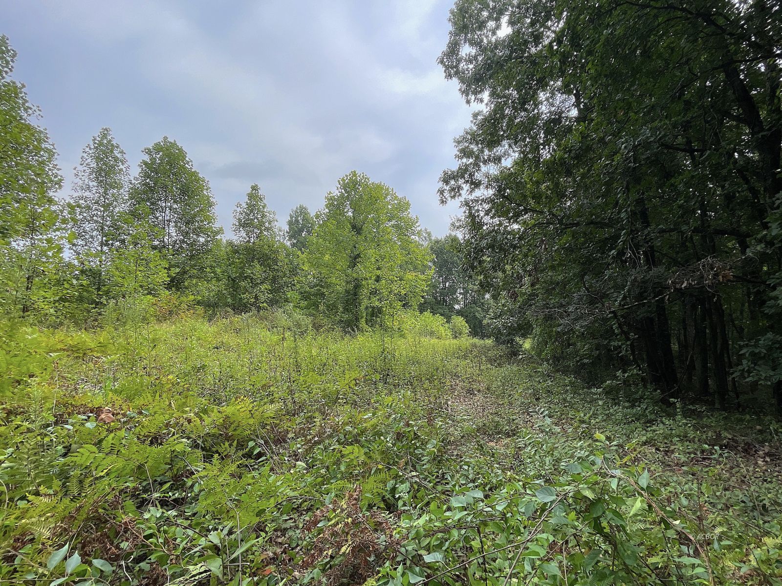 9662 State Route 217 Property Photo 30