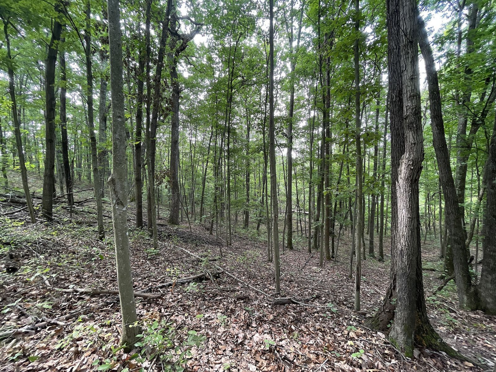 9662 State Route 217 Property Photo 31