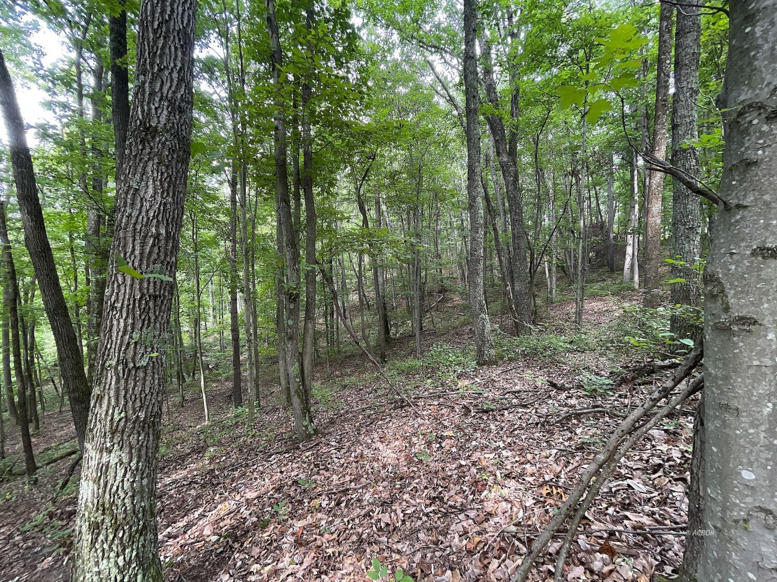 9662 State Route 217 Property Photo 32