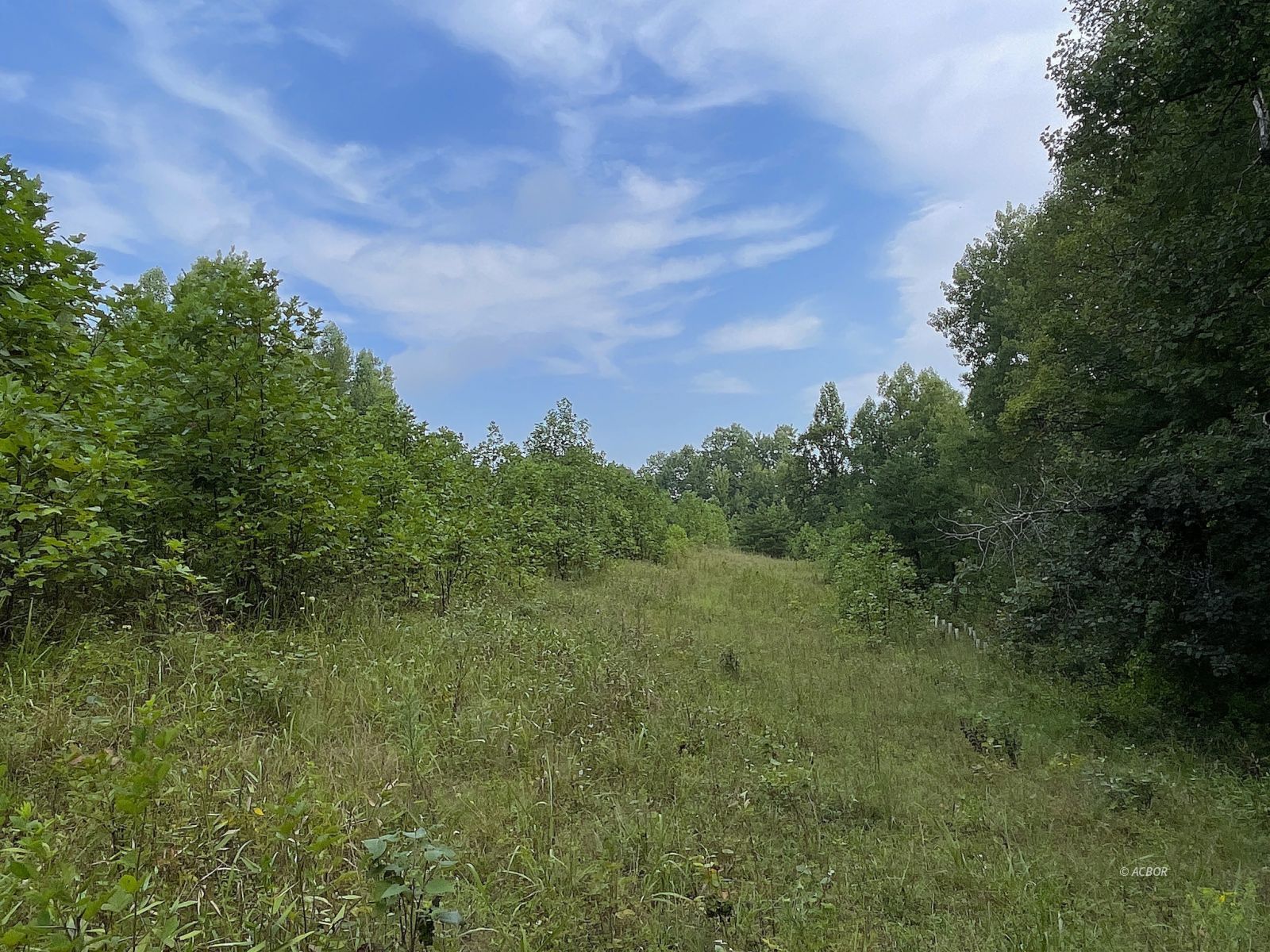 9662 State Route 217 Property Photo 33