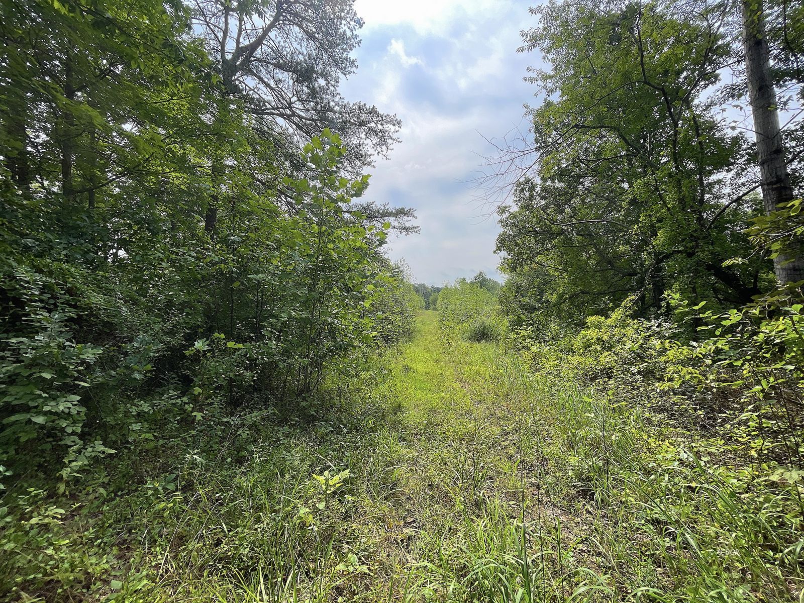 9662 State Route 217 Property Photo 34