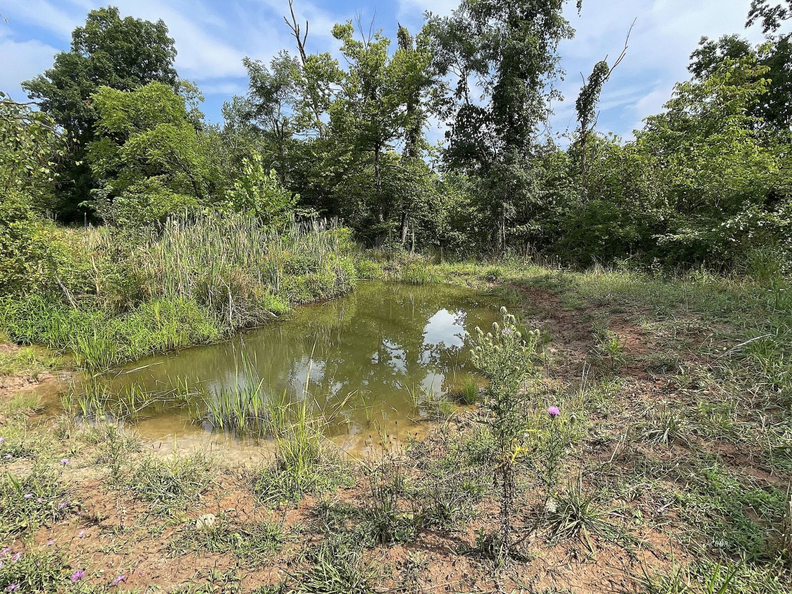 9662 State Route 217 Property Photo 35