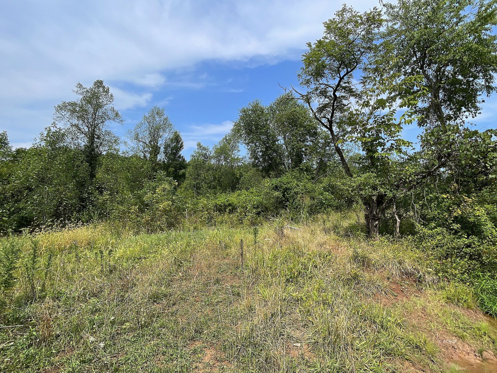 9662 State Route 217 Property Photo 36