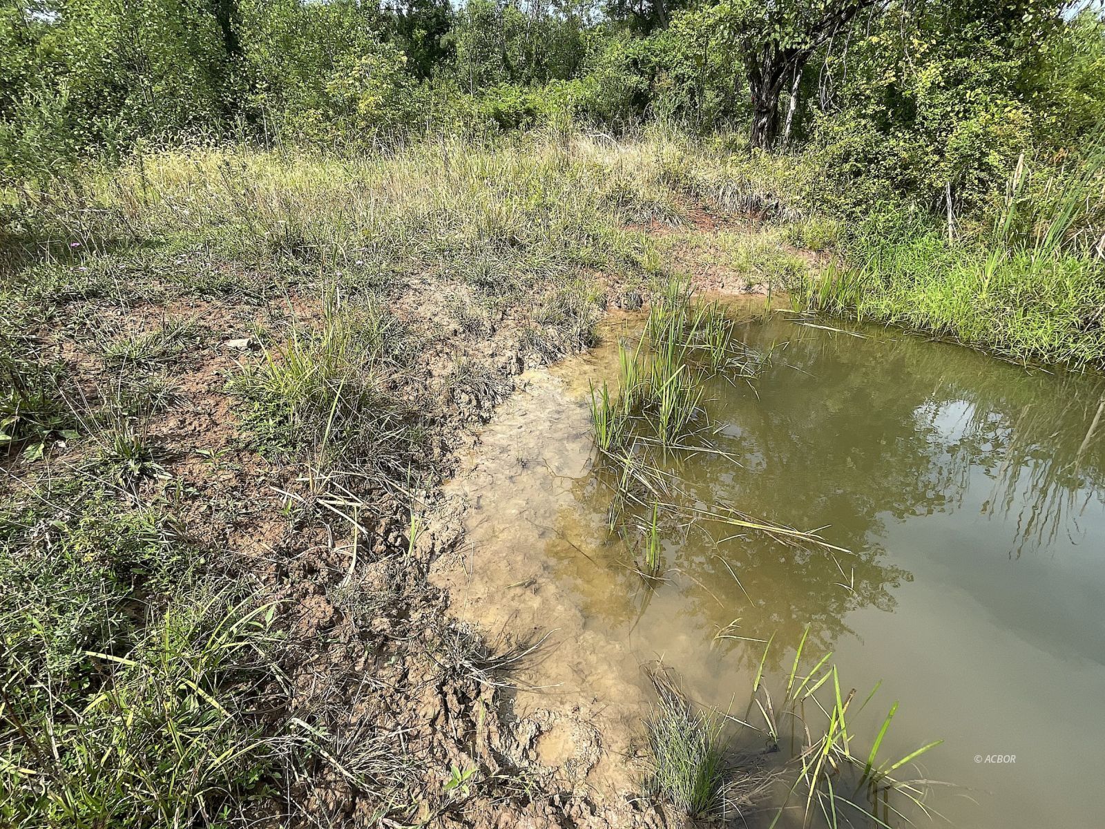 9662 State Route 217 Property Photo 37