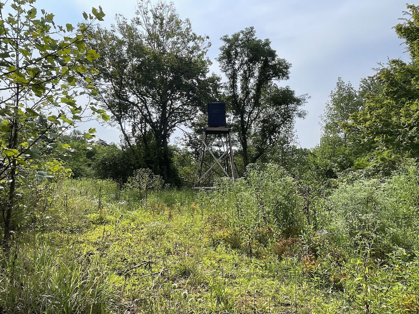 9662 State Route 217 Property Photo 38