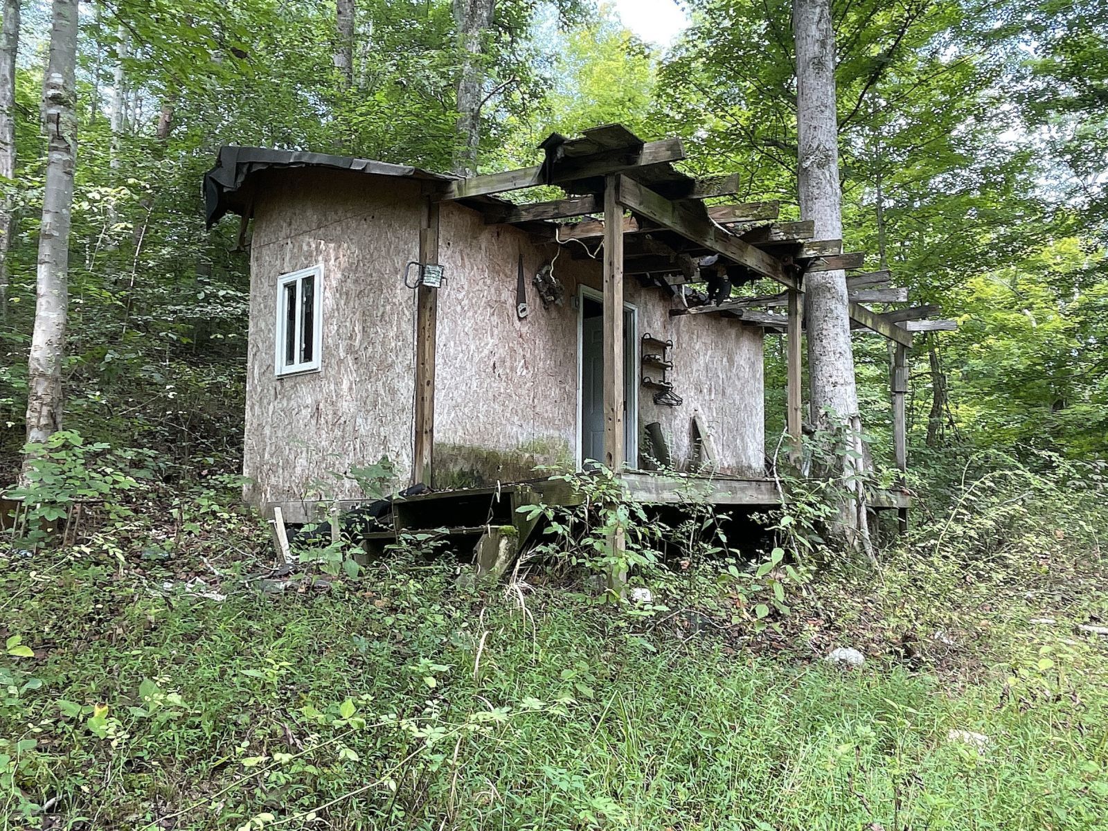 9662 State Route 217 Property Photo 39