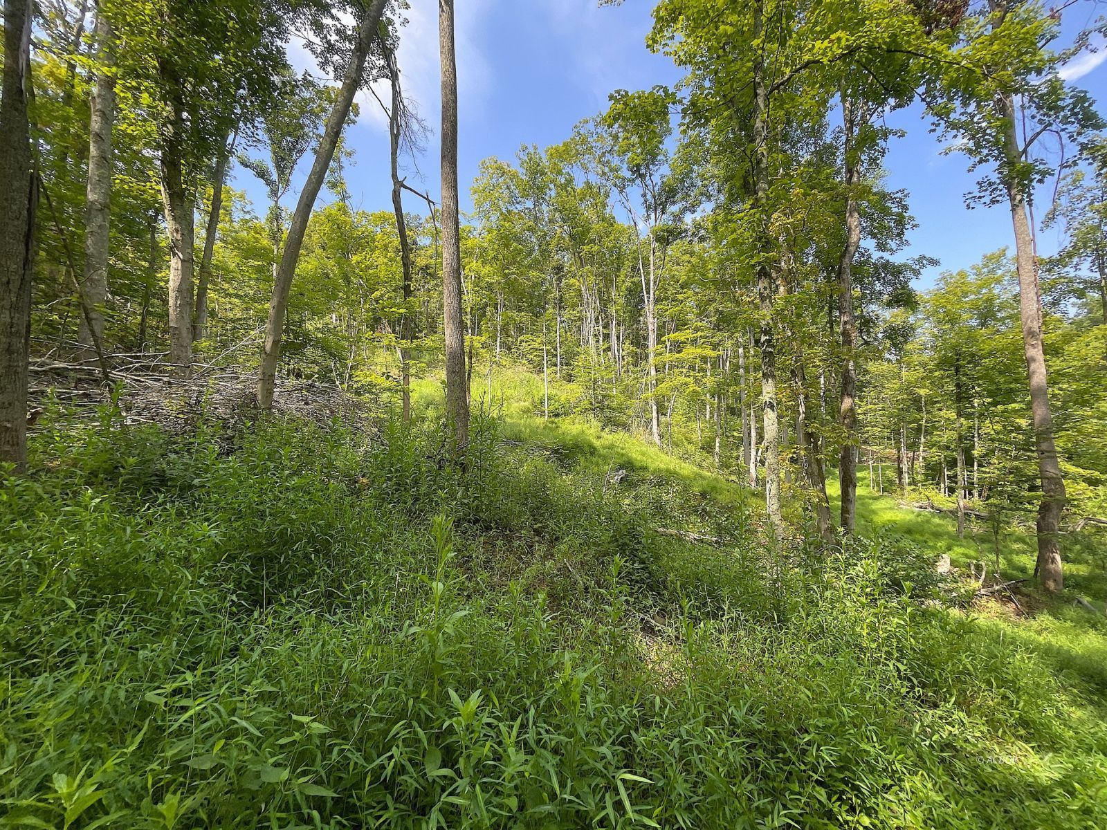 9662 State Route 217 Property Photo 43