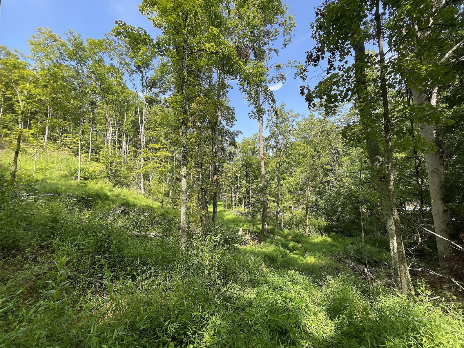 9662 State Route 217 Property Photo 44