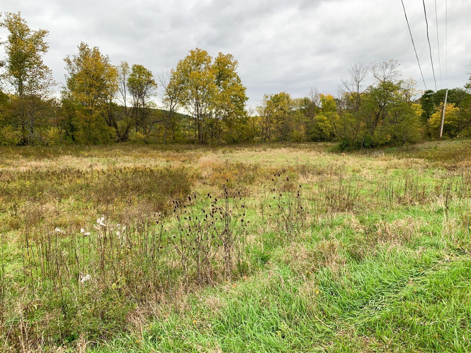 6808 Radford Rd Property Photo 10