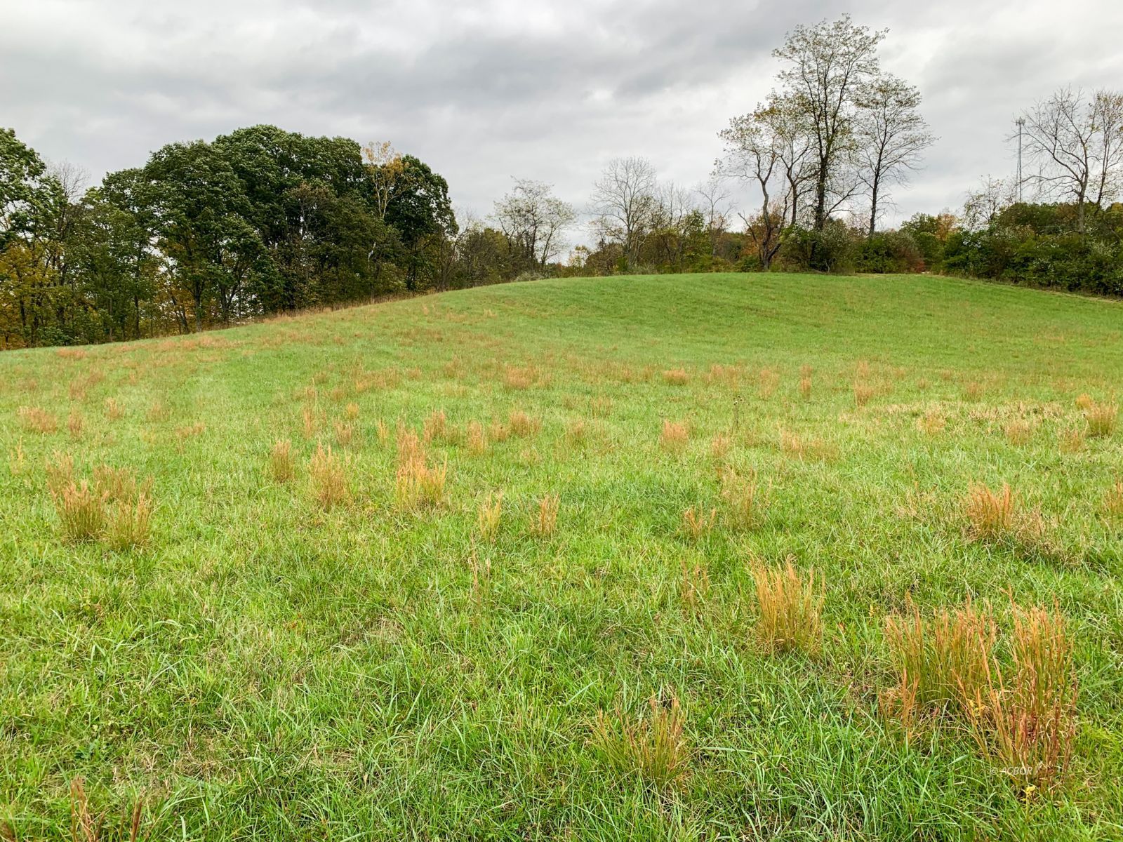 6808 Radford Rd Property Photo 12