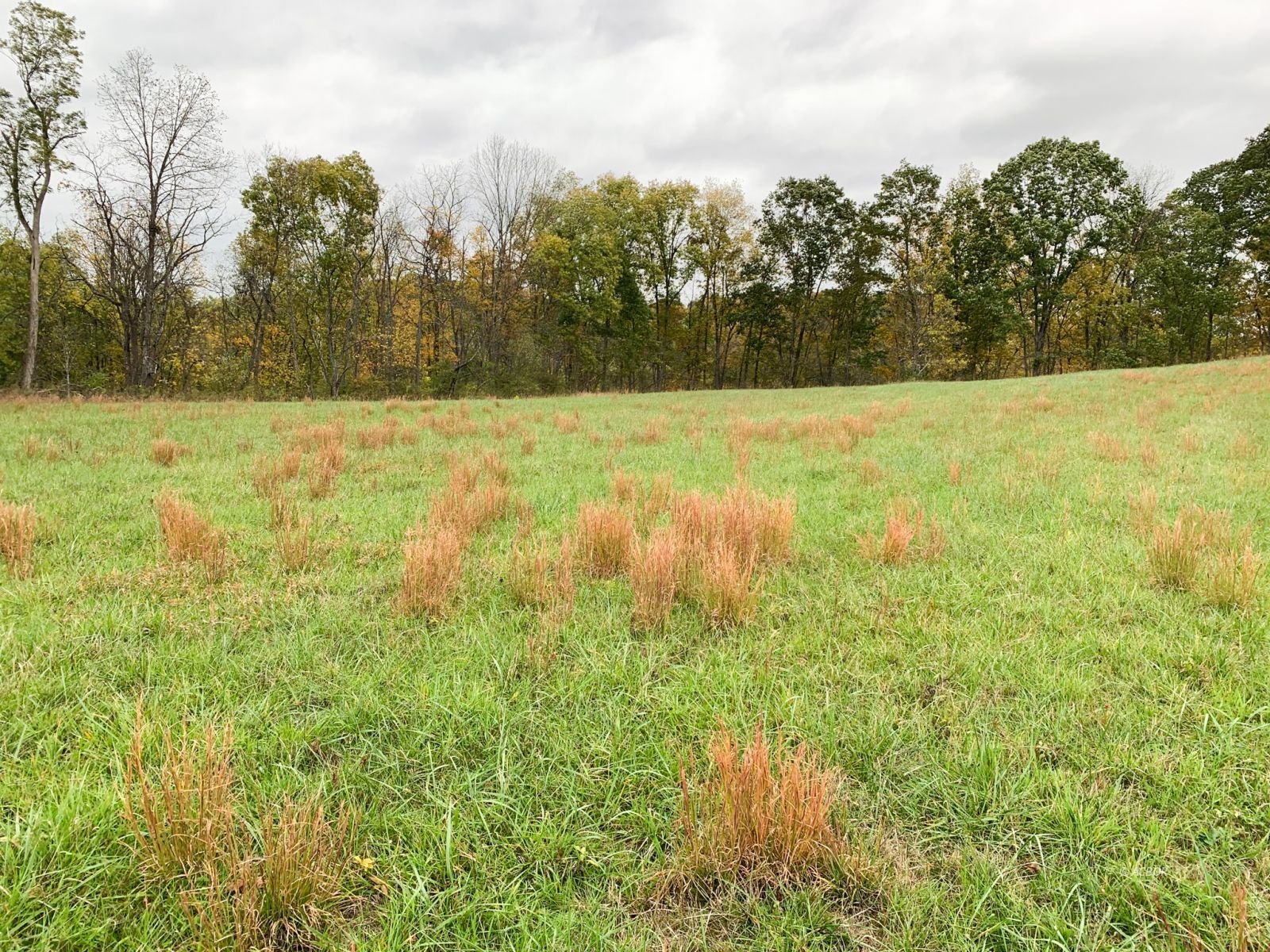 6808 Radford Rd Property Photo 13