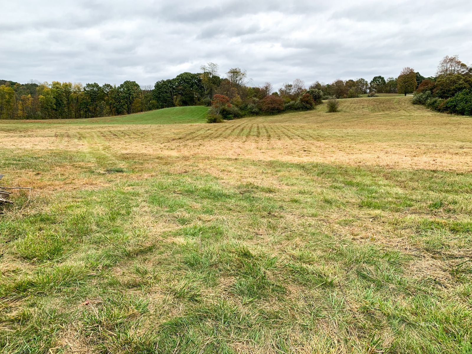 6808 Radford Rd Property Photo 15