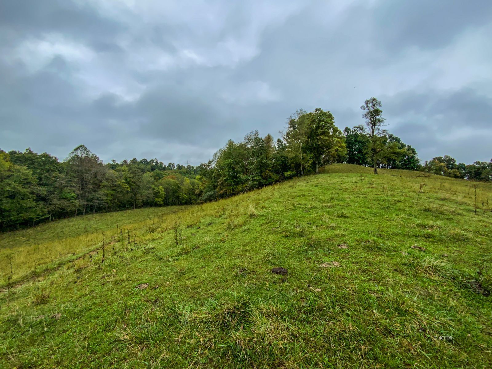 2568 Sheldon Cartro Rd Property Photo 6
