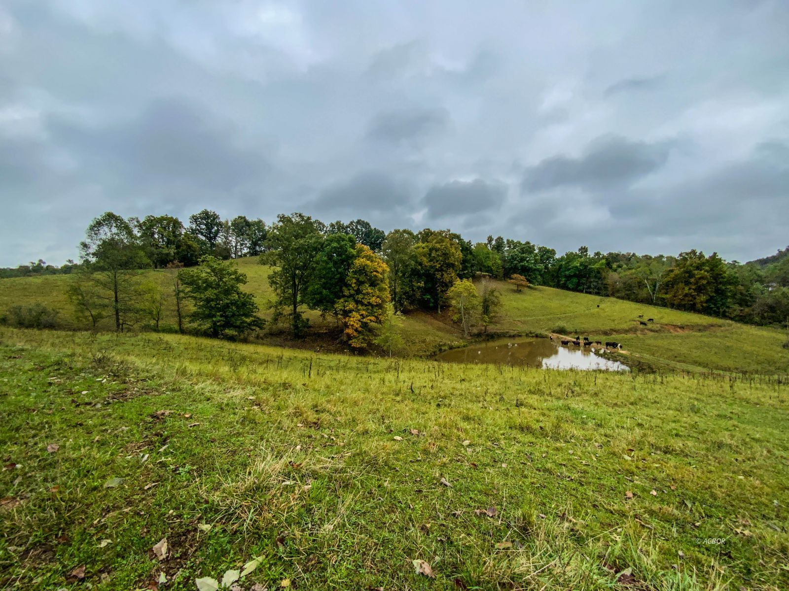 2568 Sheldon Cartro Rd Property Photo 10