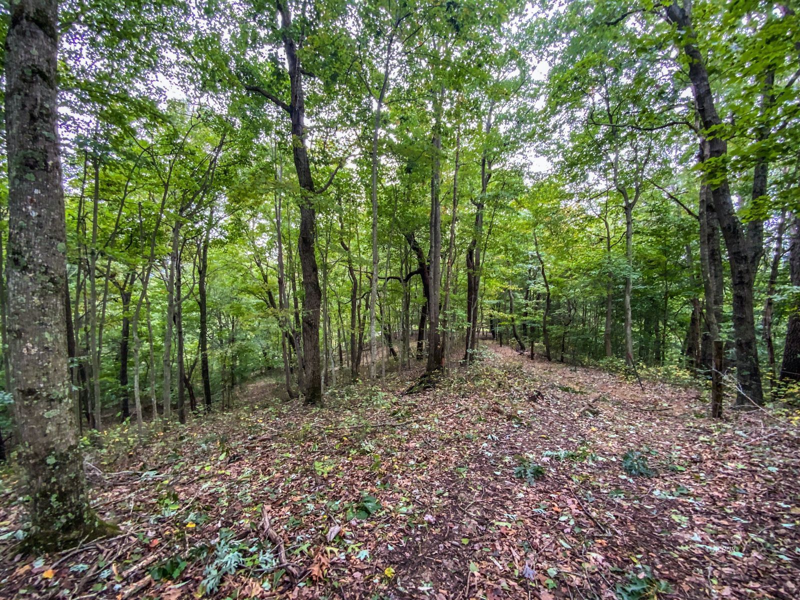 2568 Sheldon Cartro Rd Property Photo 11