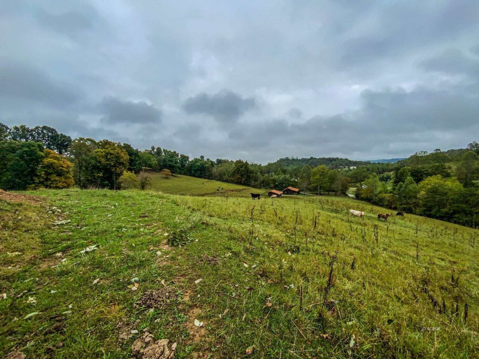 2568 Sheldon Cartro Rd Property Photo 12