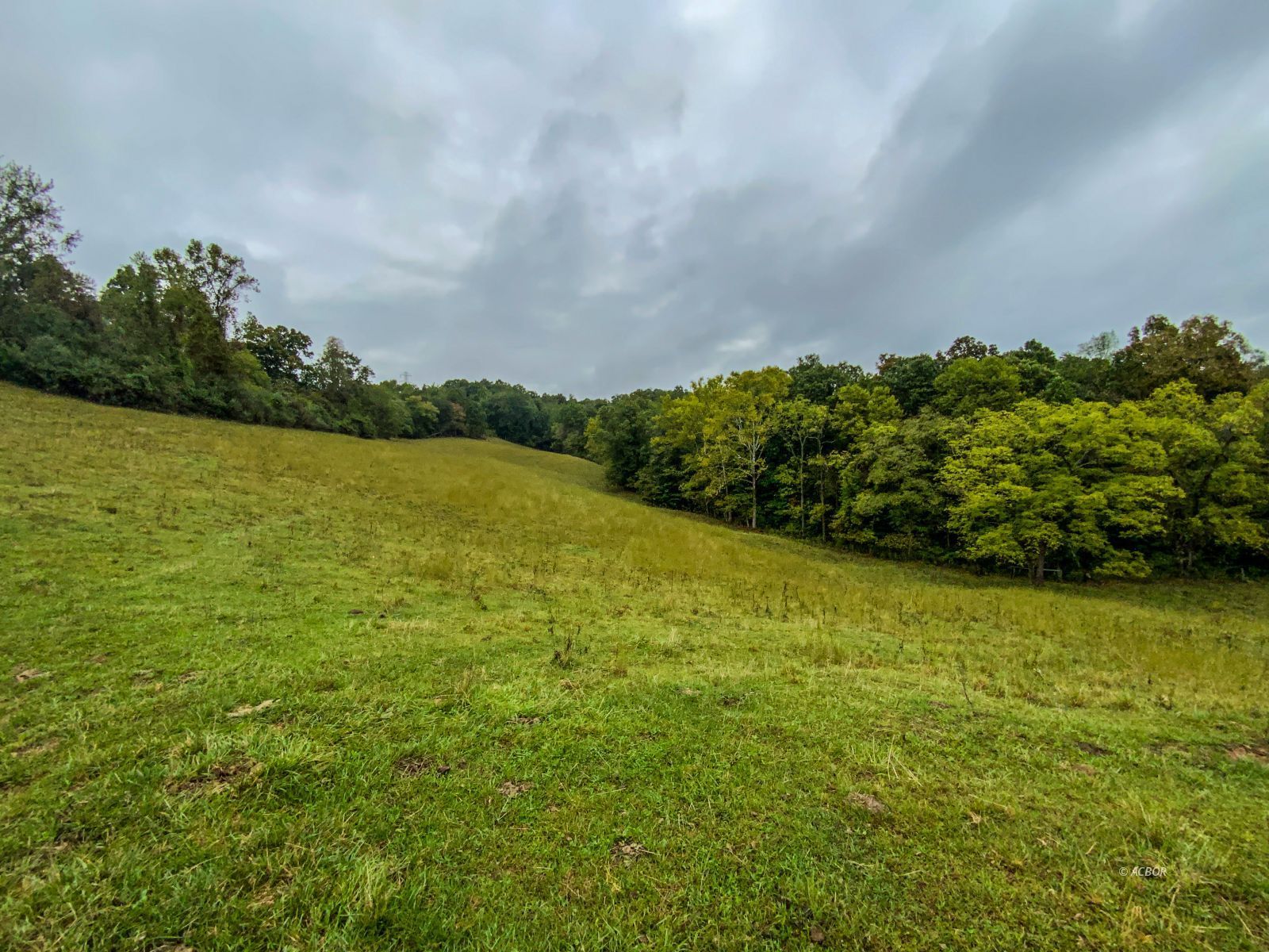 2568 Sheldon Cartro Rd Property Photo 13