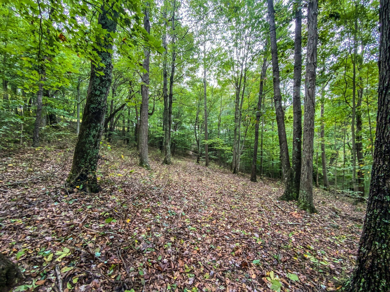 2568 Sheldon Cartro Rd Property Photo 14