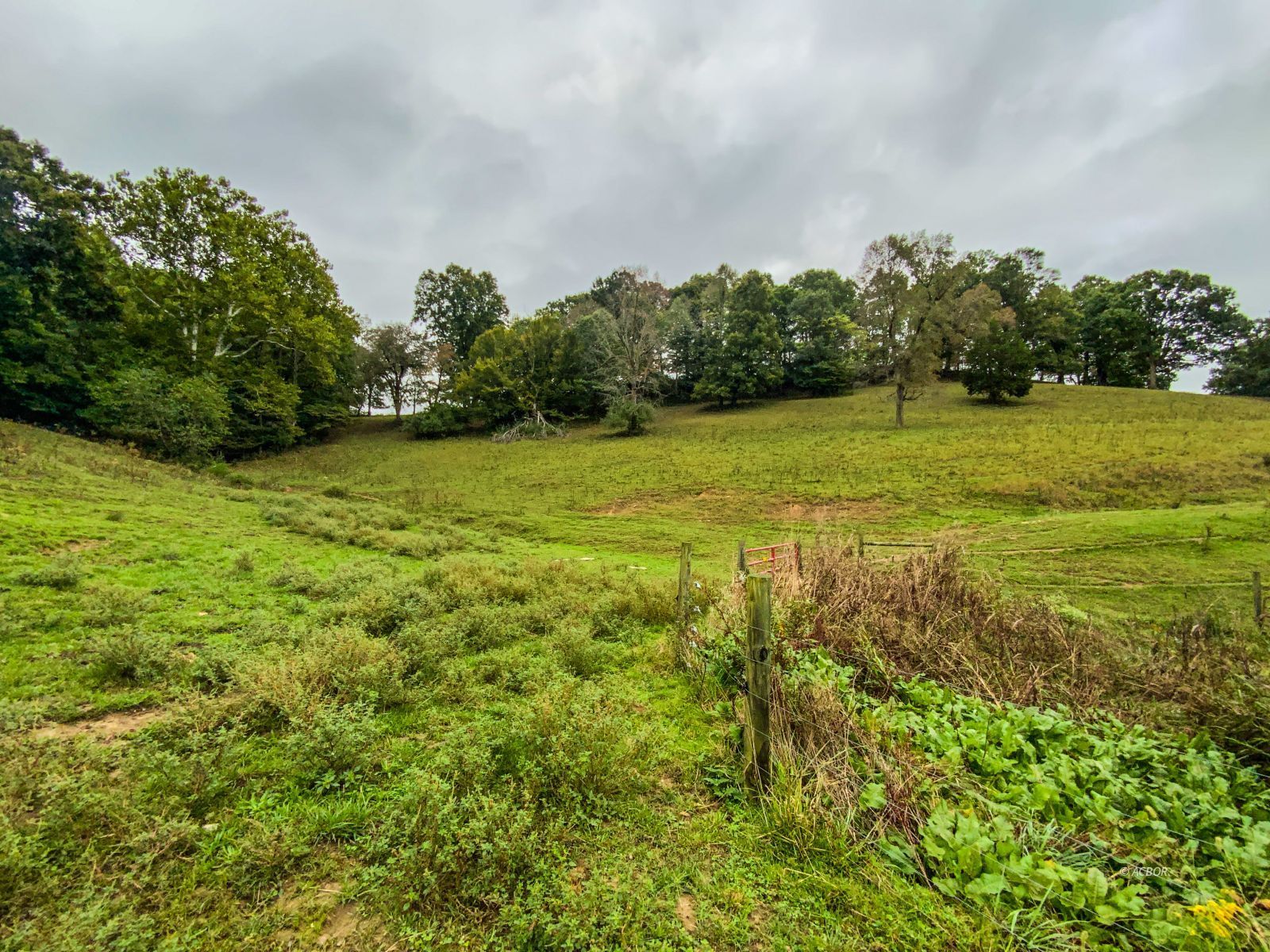 2568 Sheldon Cartro Rd Property Photo 17