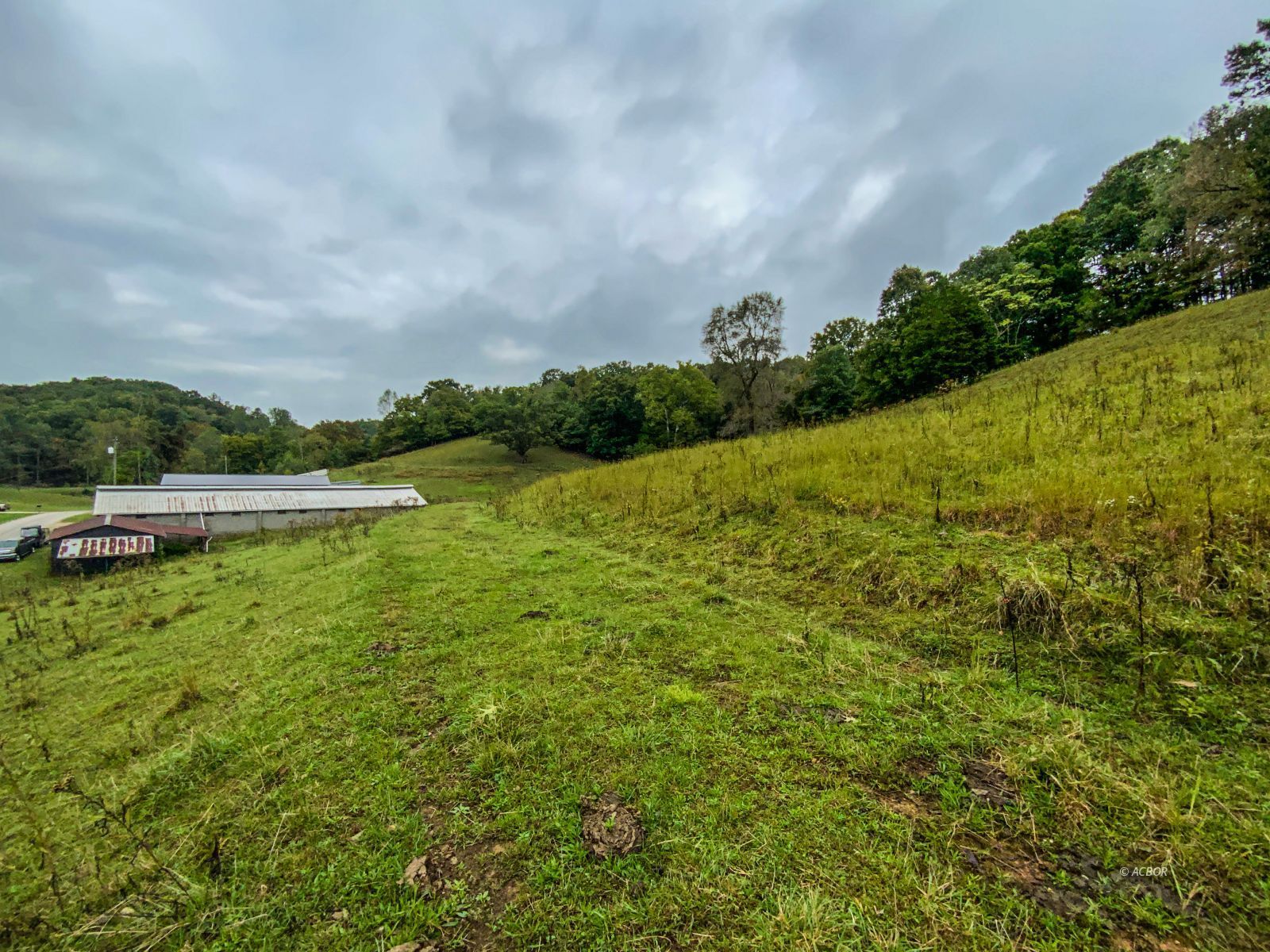 2568 Sheldon Cartro Rd Property Photo 18