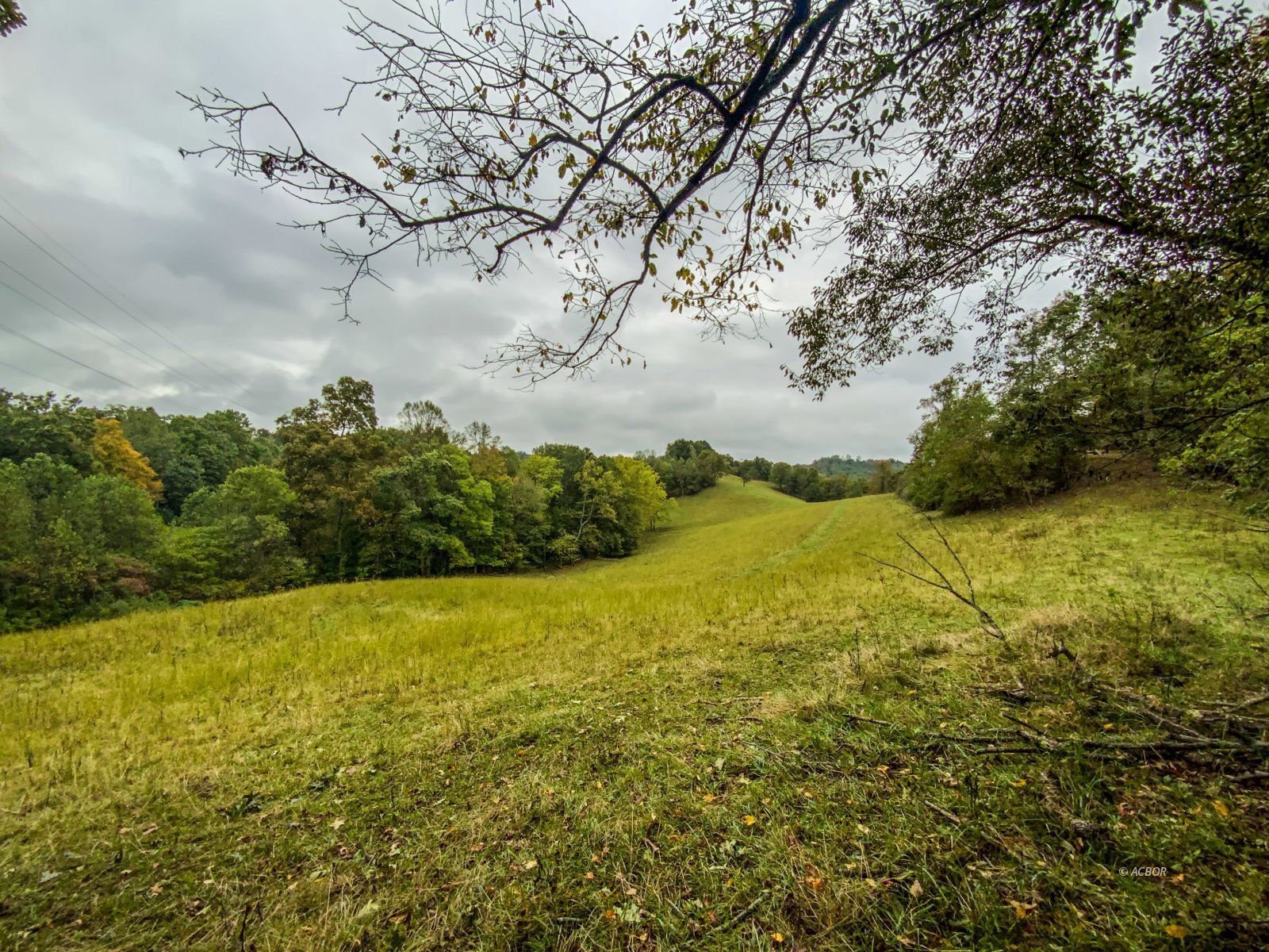 2568 Sheldon Cartro Rd Property Photo 19