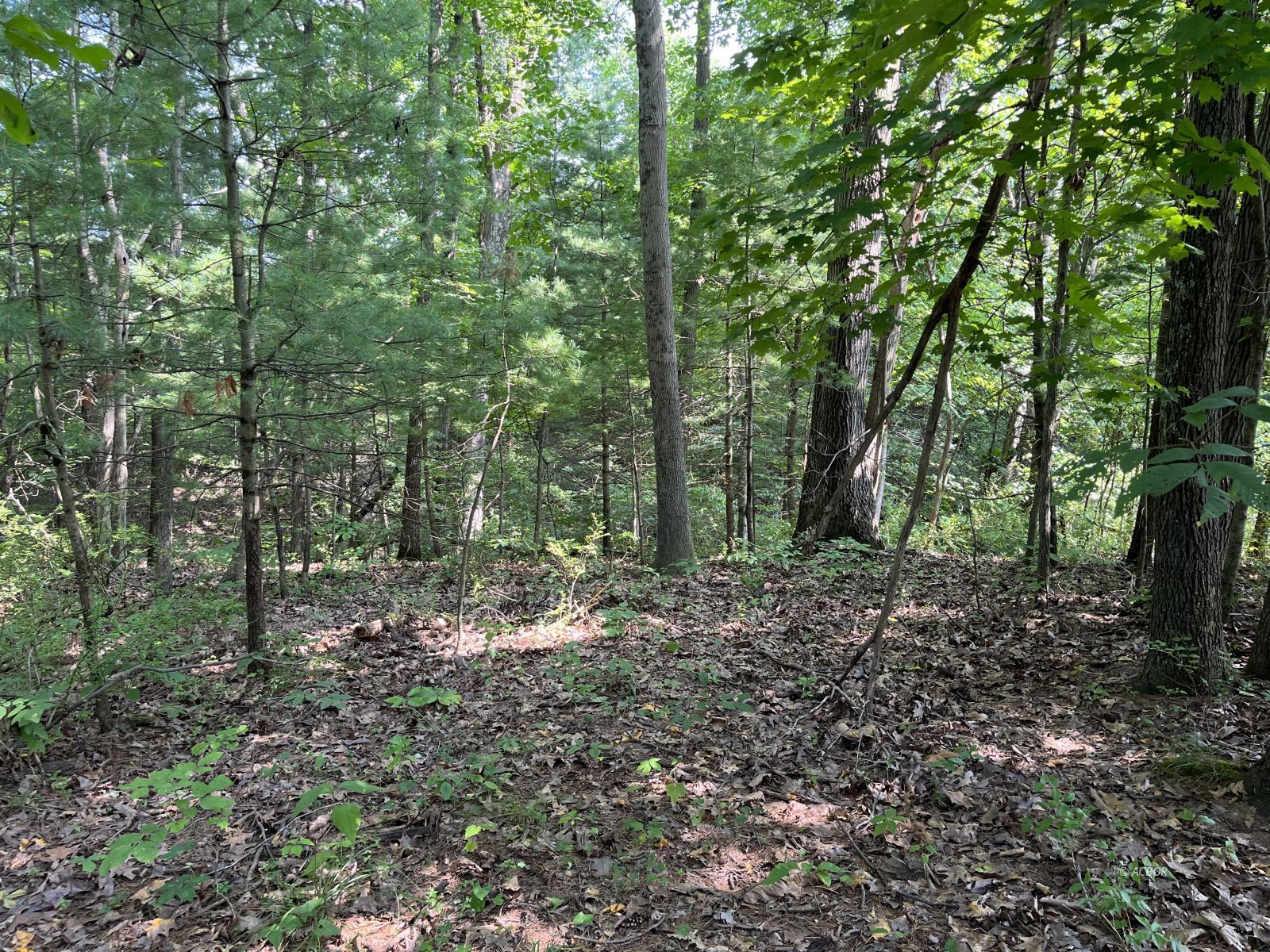 Roberts Rd Property Photo 10