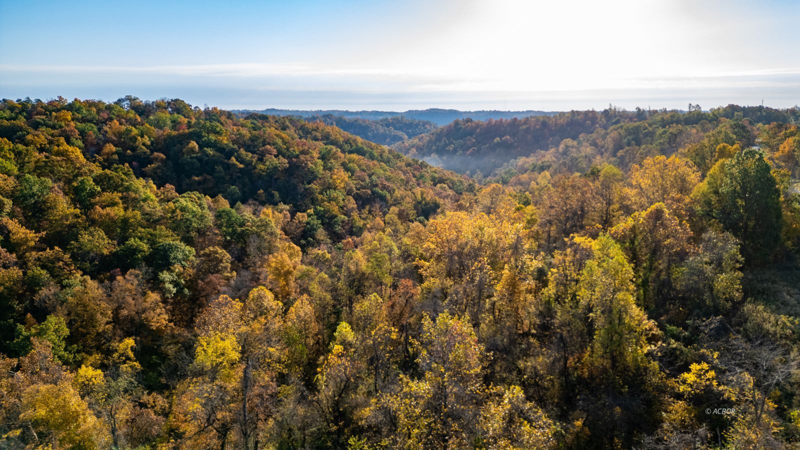 State Route 217 Property Photo 10