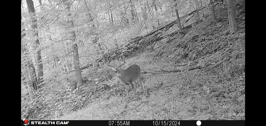 State Route 217 Property Photo 14