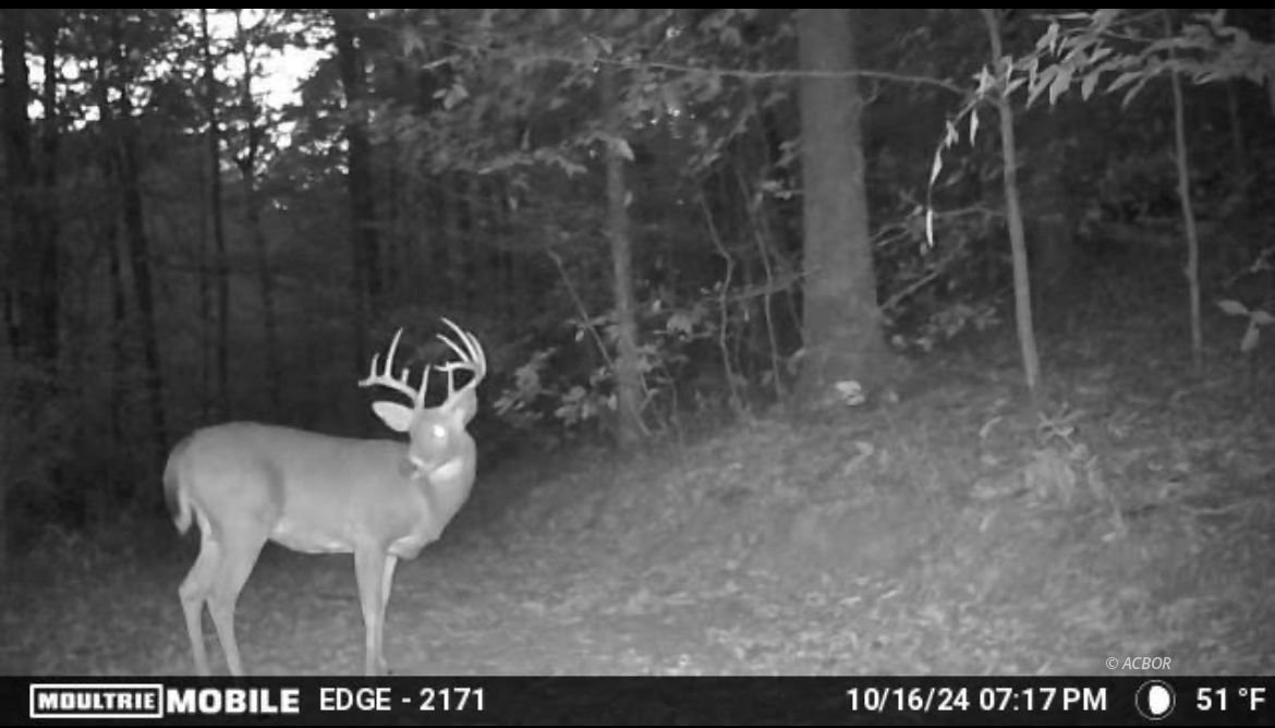 State Route 217 Property Photo 16