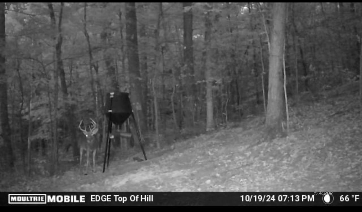 State Route 217 Property Photo 18