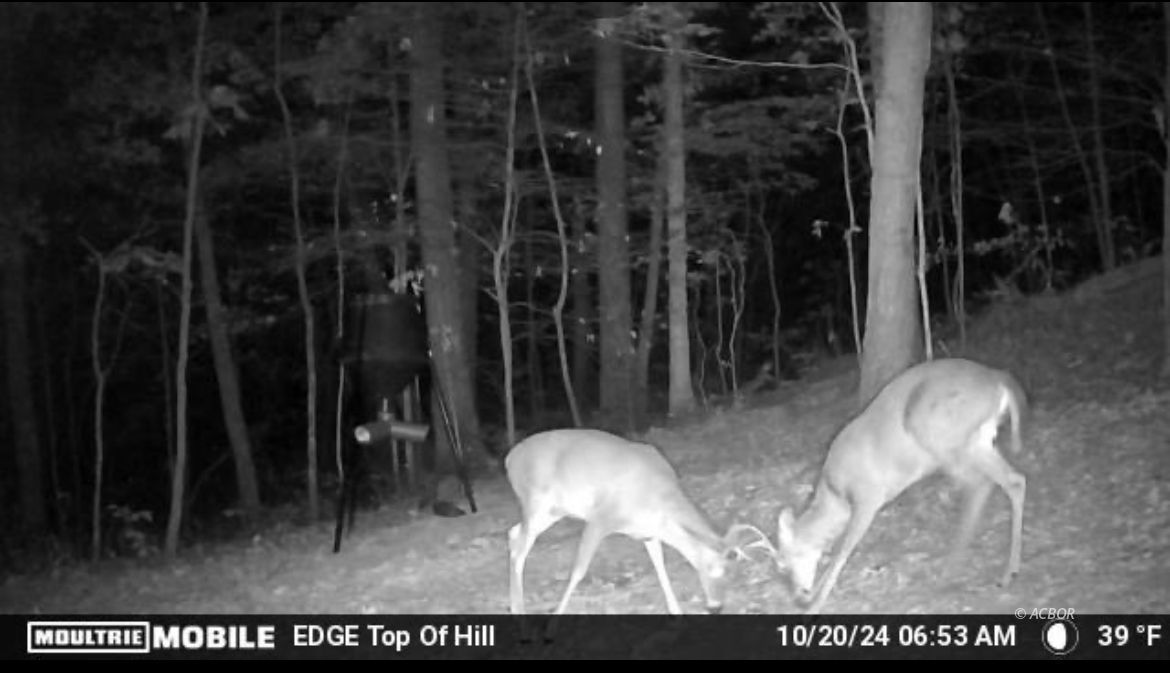 State Route 217 Property Photo 20