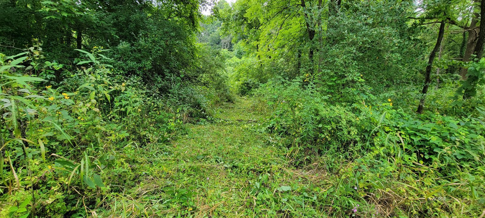 Lot 6 Sanner Rd Property Photo 4